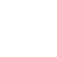ACE-ACTIVE
