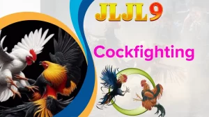 Brief Overview of Casino Cockfighting