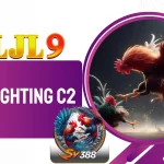 Cockfighting C2