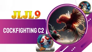 Cockfighting C2