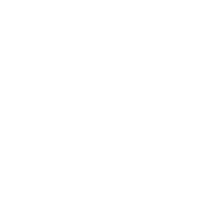 VT-ACTIVE